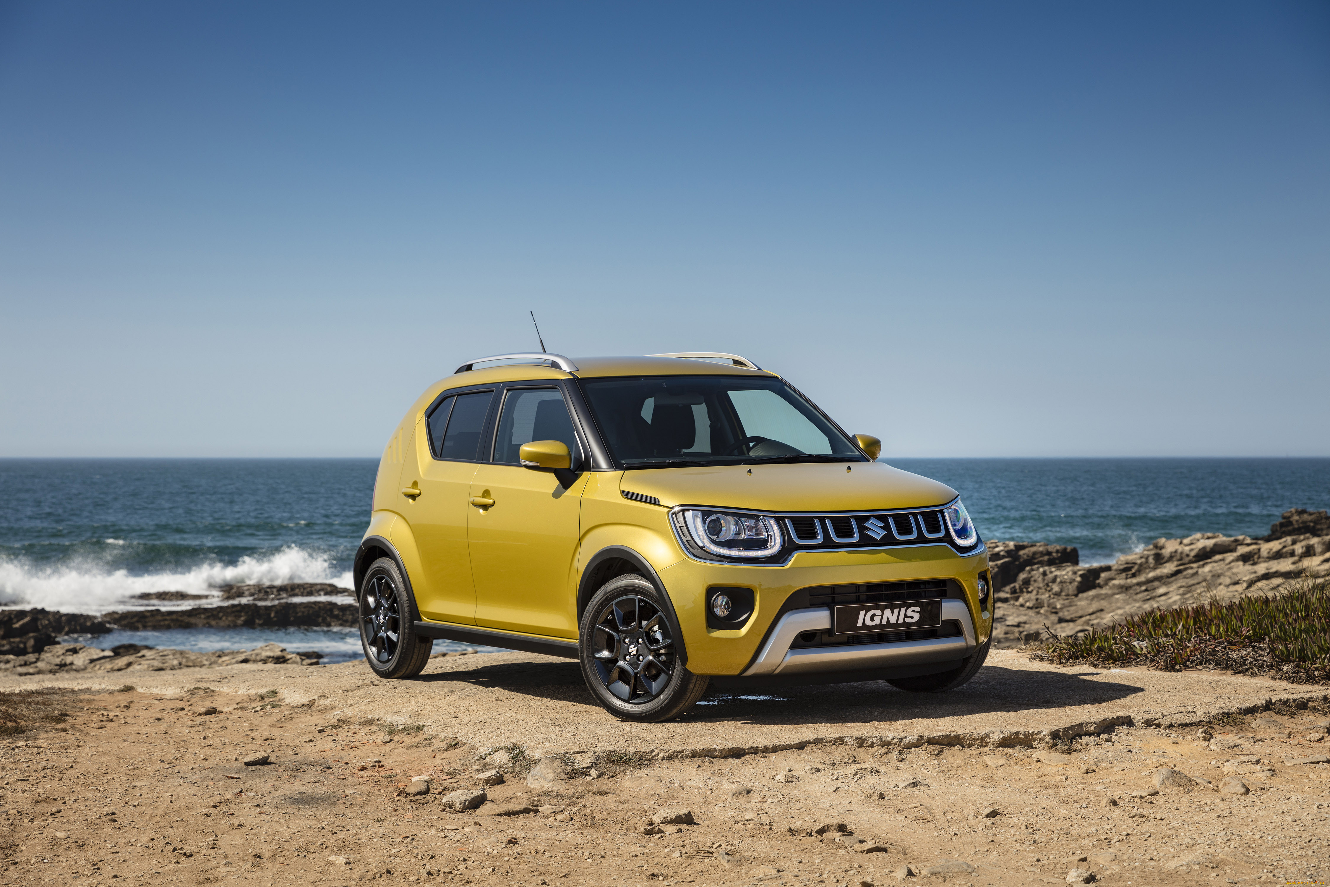 , suzuki